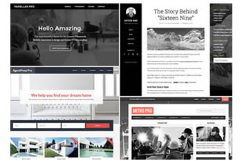 AlphaBlossom's Genesis Theme Setup Web Solution
