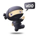 Move price on WooCommerce Single Product Page