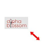 Genesis responsive logo