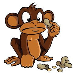 If you pay peanuts, you get monkeys - Why we changed from Hostgator to SiteGround web hosting