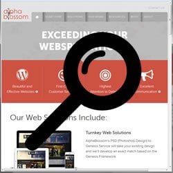 Website Troubleshooting Tips
