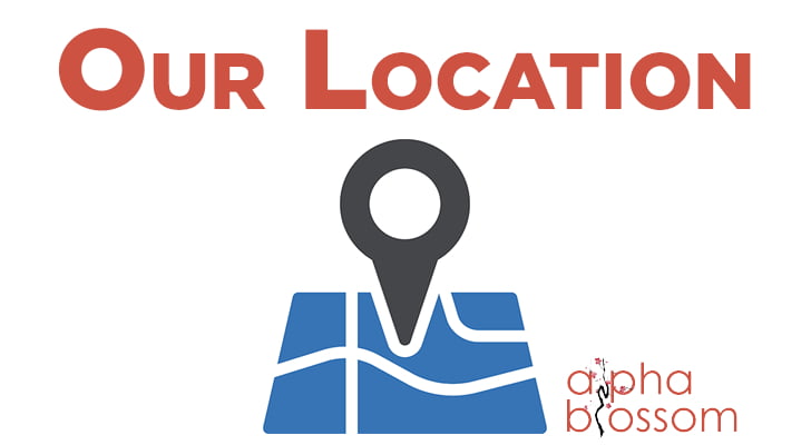 Website Development Agency Beaverton, OR - AlphaBlossom